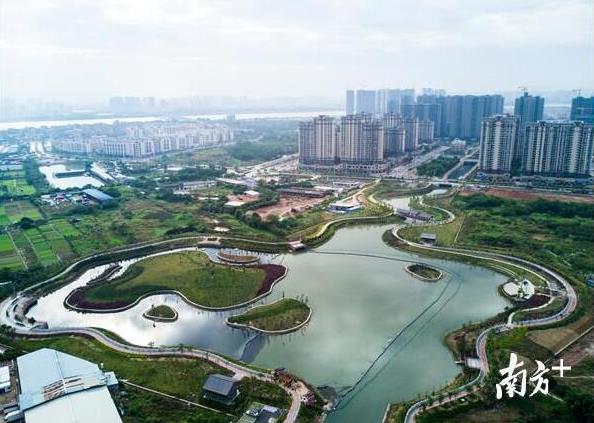 惠州水环境治理出成效，臭水沟变身水生态长廊
