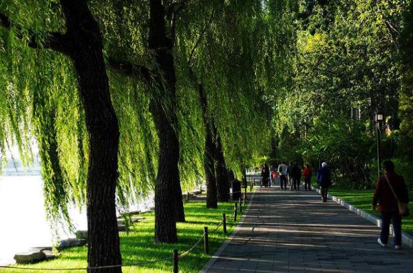 景色宜人的北京公园 森盛隆配图